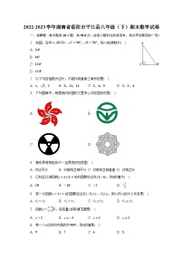 2022-2023学年湖南省岳阳市平江县八年级（下）期末数学试卷（含解析）