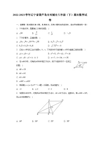 2022-2023学年辽宁省葫芦岛市兴城市八年级（下）期末数学试卷（含解析）