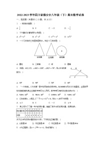 2022-2023学年四川省雅安市八年级（下）期末数学试卷（含解析）