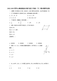 2022-2023学年云南省临沧市耿马县八年级（下）期末数学试卷（含解析）