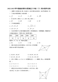 2022-2023学年福建省莆田市荔城区八年级（下）期末数学试卷（含解析）