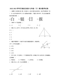 2022-2023学年甘肃省白银市七年级（下）期末数学试卷（含解析）