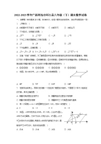 2022-2023学年广西河池市环江县八年级（下）期末数学试卷（含解析）