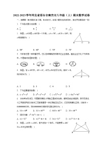 2022-2023学年河北省邢台市南宫市八年级（上）期末数学试卷（含解析）