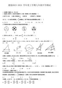 黑龙江省哈尔滨市德强学校2023—2024学年九年级上学期开学测试数学试题