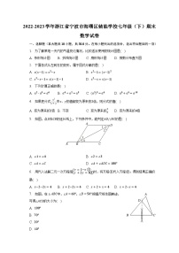 2022-2023学年浙江省宁波市海曙区储能学校七年级（下）期末数学试卷（含解析）