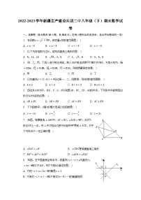 2022-2023学年新疆生产建设兵团二中八年级（下）期末数学试卷（含解析）