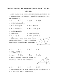 2022-2023学年四川省达州市通川区兰桥中学八年级（下）期末数学试卷（含解析）