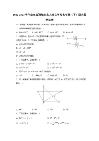 2022-2023学年山东省聊城市北大培文学校七年级（下）期末数学试卷（含解析）