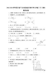 2022-2023学年四川省广安市岳池县石垭中学七年级（下）期末数学试卷（含解析）