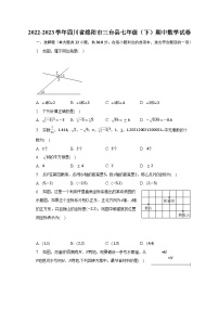 2022-2023学年四川省绵阳市三台县七年级（下）期中数学试卷（含解析）