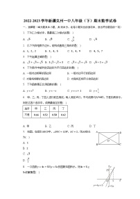 2022-2023学年新疆克州一中八年级（下）期末数学试卷（含解析）