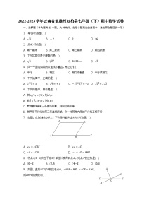 2022-2023学年云南省楚雄州双柏县七年级（下）期中数学试卷（含解析）