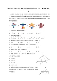 2022-2023学年辽宁省葫芦岛市绥中县八年级（上）期末数学试卷（含解析）