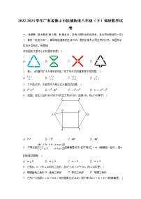 2022-2023学年广东省佛山市桂城街道八年级（下）调研数学试卷（含解析）