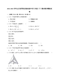 山东省青岛实验初级中学2022-2023学年下学期八年级期末数学模拟试卷（含答案）