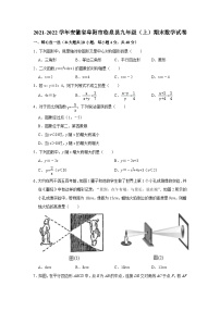 2021-2022学年安徽省阜阳市临泉县九年级（上）期末数学试卷(含答案)