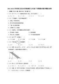 浙江省台州市路桥区2022-2023学年七年级下学期期末数学模拟试卷