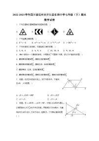 2022-2023学年四川省达州市开江县长田中学七年级（下）期末数学试卷（含解析）