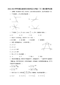 2022-2023学年湖北省黄冈市黄州区七年级（下）期末数学试卷（含解析）