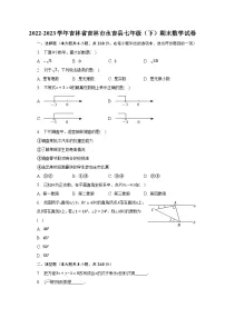 2022-2023学年吉林省吉林市永吉县七年级（下）期末数学试卷（含解析）