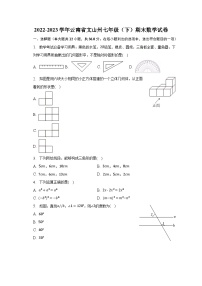 2022-2023学年云南省文山州七年级（下）期末数学试卷（含解析）