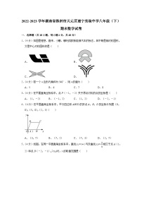 湖南省株洲市天元区建宁实验中学2022-2023学年八年级下学期期末数学试卷