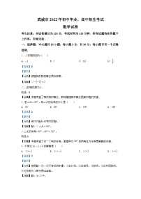 2022年甘肃省武威中考数学真题（解析版）