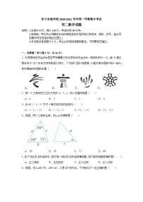 广东省东莞市沙田实验学校2021-2022学年八年级上学期数学期中【试卷+答案】