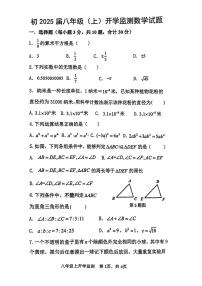 陕西省西安市雁塔区陕西师范大学附属中学2023-2024学年八年级上学期开学考数学试题（图片版含答案）