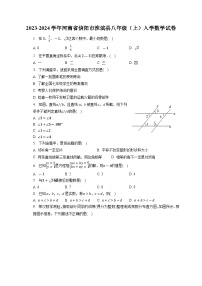 河南省信阳市淮滨县2023-2024学年八年级上学期入学考试数学试卷