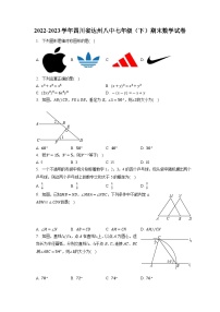 四川省+达州市+通川区达州市通川区第八中学2022-2023学年+七年级下学期期末数学试卷+