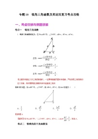 中考数学二轮复习专题讲与练专题10 锐角三角函数及其运用（含解析）