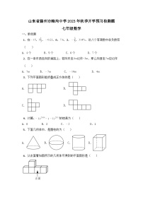 山东省滕州市鲍沟中学2023-2024学年七年级上学期开学数学预习检测题