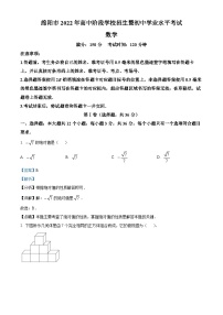 2022年四川省绵阳市中考数学真题（解析版）