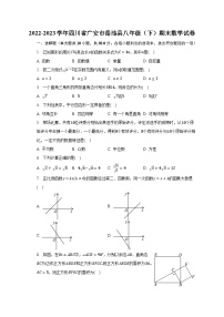 2022-2023学年四川省广安市岳池县八年级（下）期末数学试卷（含解析）