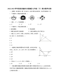 2022-2023学年陕西省榆林市绥德县七年级（下）期末数学试卷（含解析）