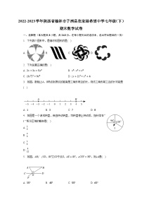 2022-2023学年陕西省榆林市子洲县张家港希望中学七年级（下）期末数学试卷（含解析）