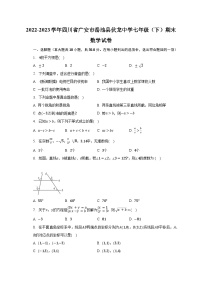 2022-2023学年四川省广安市岳池县伏龙中学七年级（下）期末数学试卷（含解析）