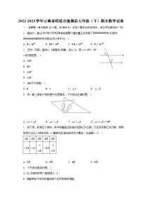 2022-2023学年云南省昭通市镇雄县七年级（下）期末数学试卷（含解析）