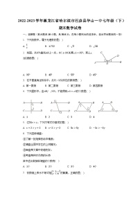 2022-2023学年黑龙江省哈尔滨市巴彦县华山一中七年级（下）期末数学试卷（含解析）