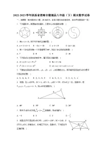 2022-2023学年陕西省渭南市蒲城县八年级（下）期末数学试卷（含解析）