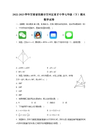 2022-2023学年甘肃省张掖市甘州区育才中学七年级（下）期末数学试卷（含解析）