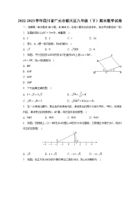 2022-2023学年四川省广元市朝天区八年级（下）期末数学试卷（含解析）