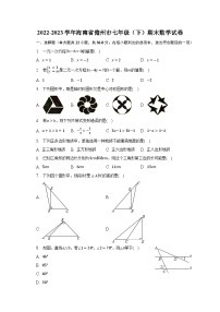 2022-2023学年海南省儋州市七年级（下）期末数学试卷（含解析）