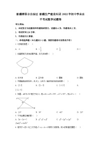 2022年新疆维吾尔自治区新疆生产建设兵团中考数学真题（原卷版）