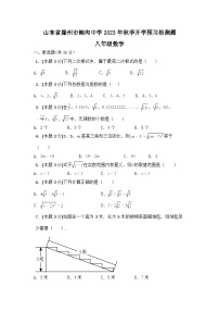 山东省枣庄市滕州市鲍沟中学2023-2024学年八年级上学期开学预习检测数学题