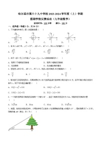 黑龙江省哈尔滨市第六十九中学2023-2024学年+九年级上学期开学考试数学试题