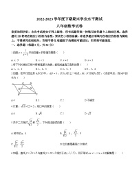 河南省信阳市潢川县2022-2023学年八年级下学期期末数学试题