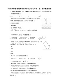 2022-2023学年湖南省长沙市宁乡市七年级（下）期末数学试卷（含解析）